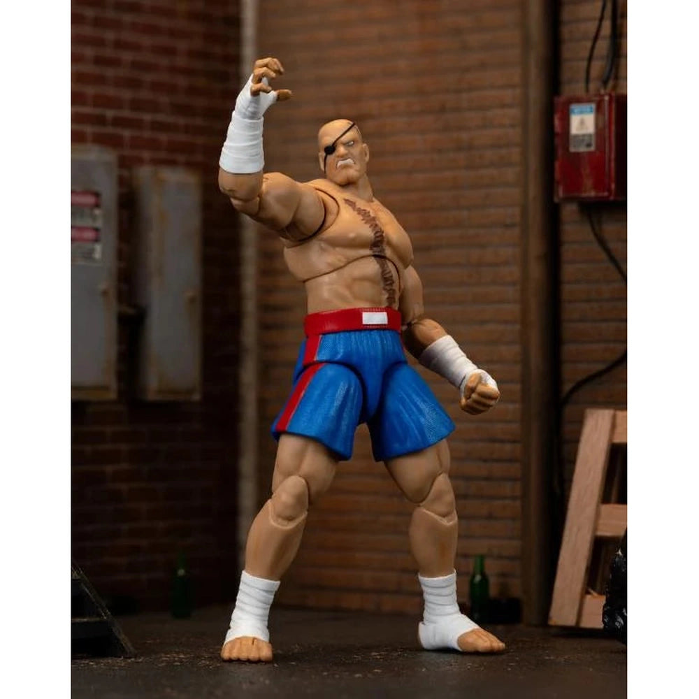 Ultra Street Fighter II: The Final Challengers Sagat 1/12
