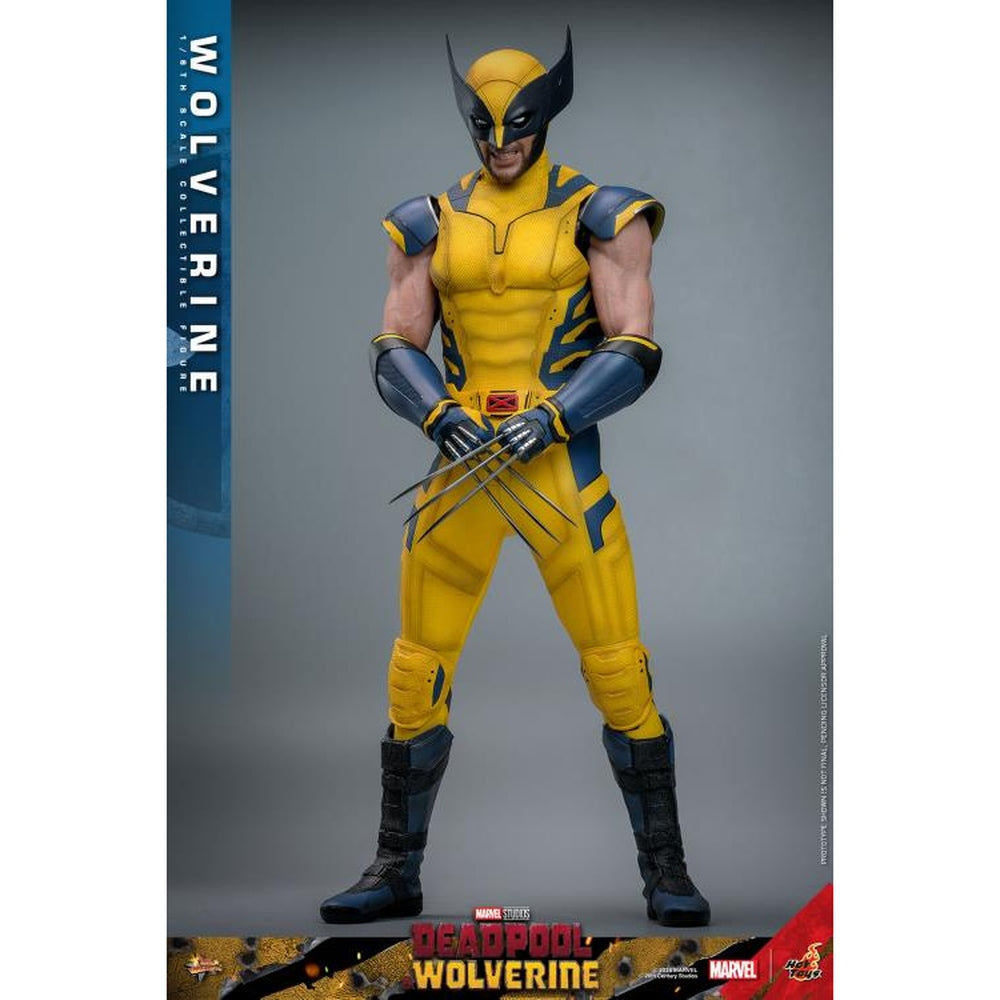 Deadpool & Wolverine MMS753 Wolverine 1/6