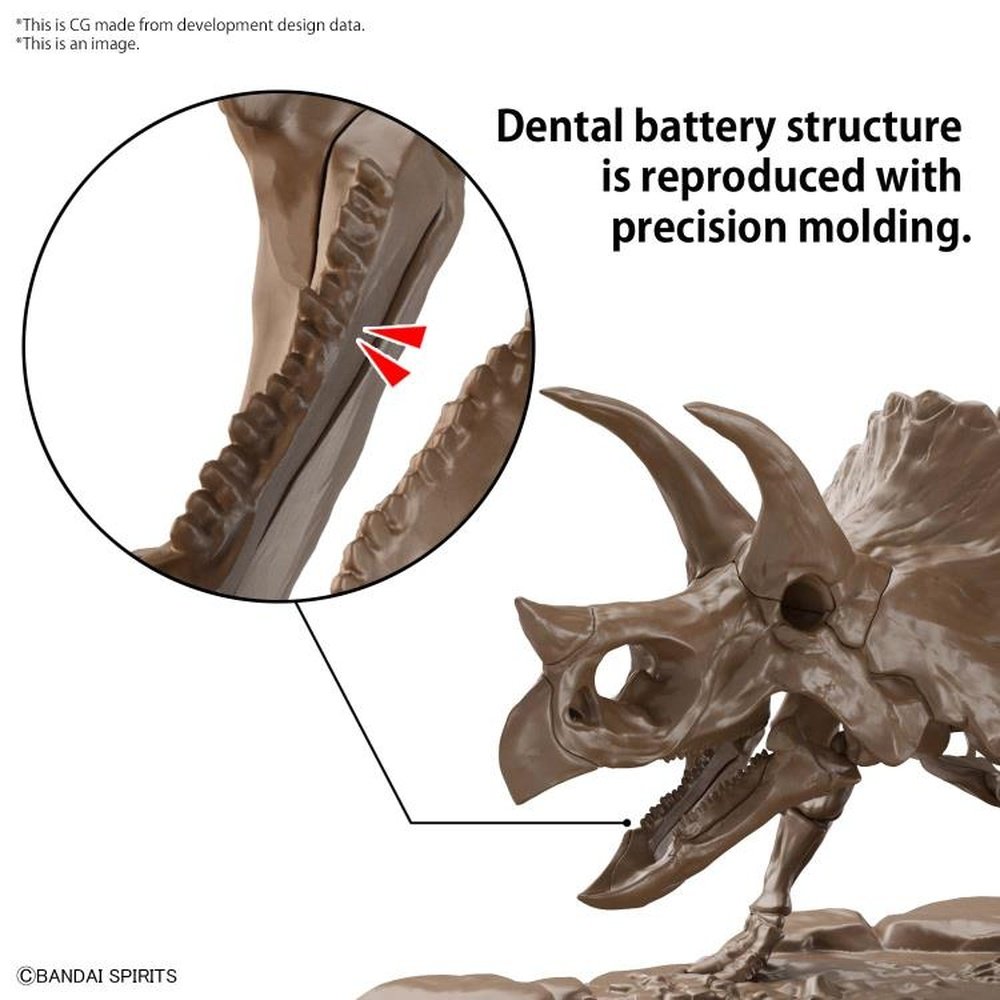 Imaginary Skeleton Triceratops Model Kit 1/32