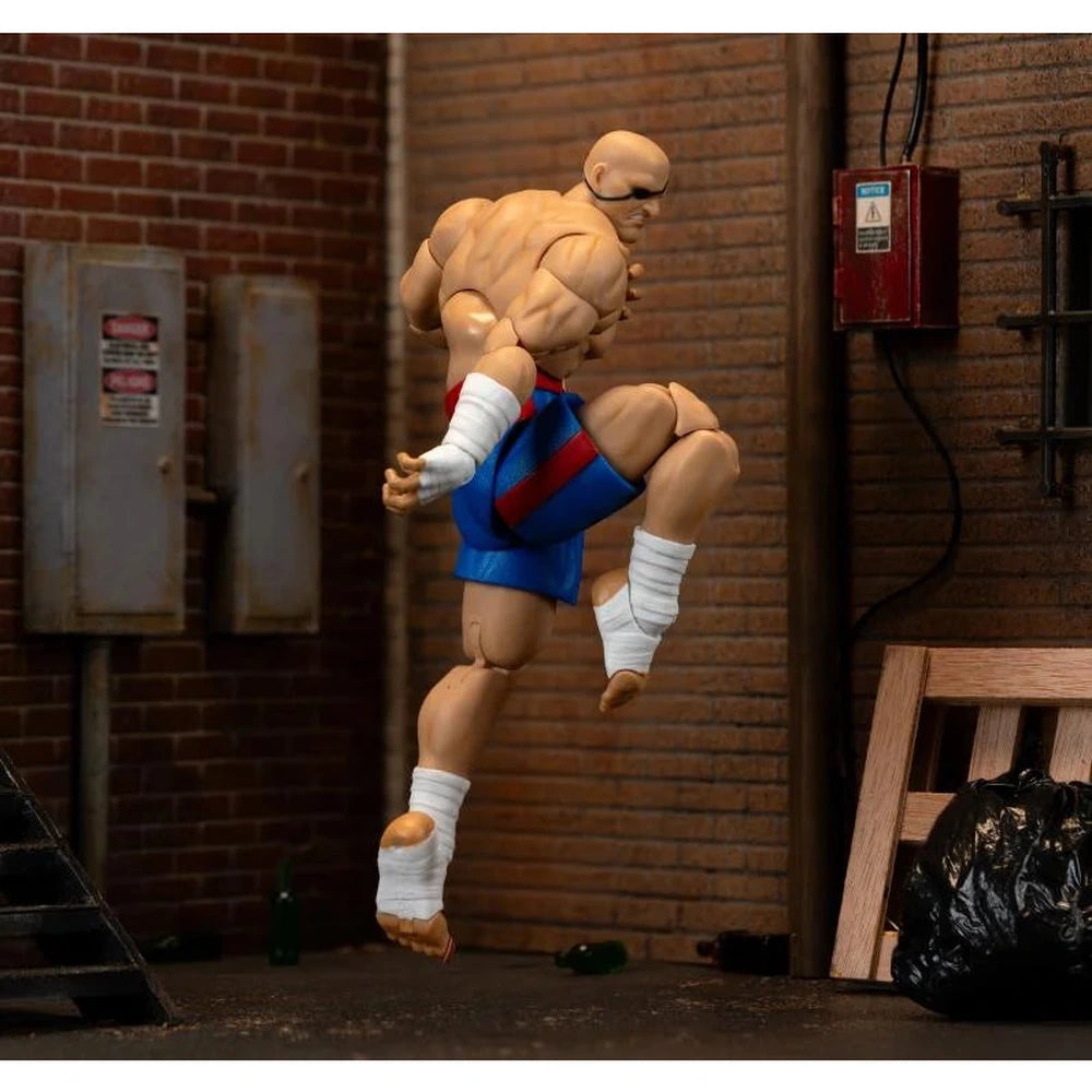 Ultra Street Fighter II: The Final Challengers Sagat 1/12