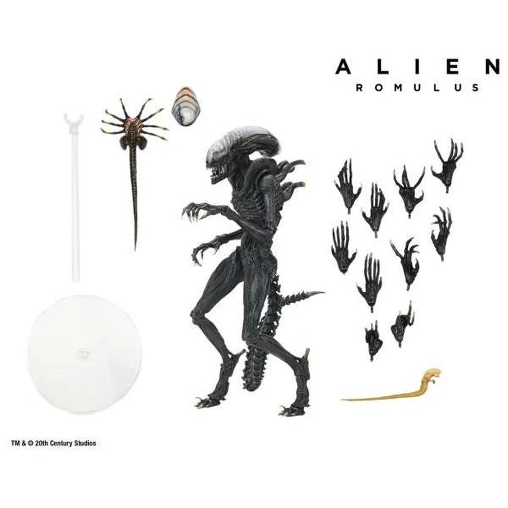 Alien: Romulus Ultimate Scorched Alien Xenomorph