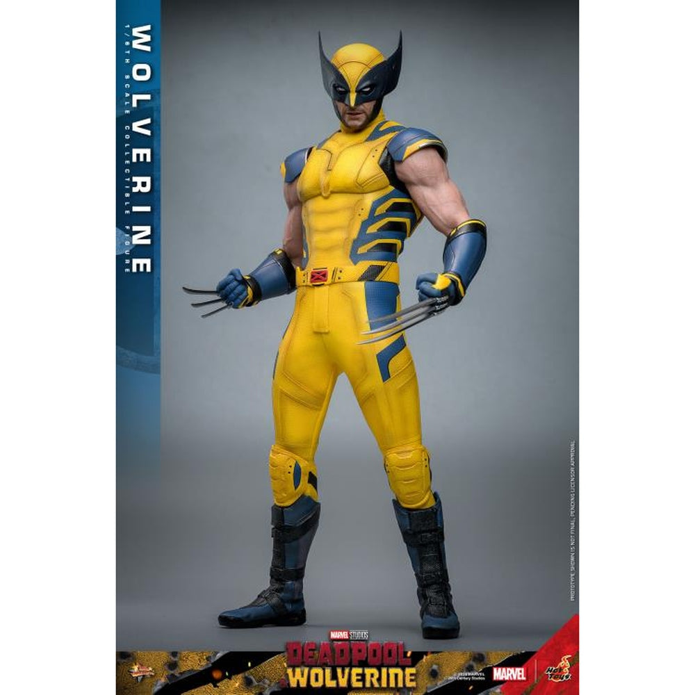 Deadpool & Wolverine MMS753 Wolverine 1/6