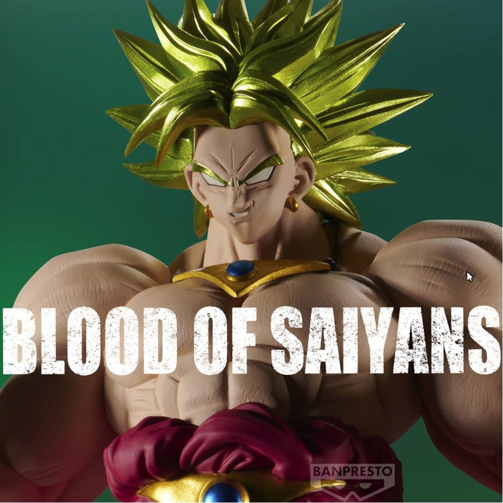 Dragon Ball Z Blood of Saiyans - Broly