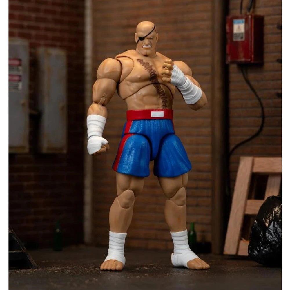 Ultra Street Fighter II: The Final Challengers Sagat 1/12