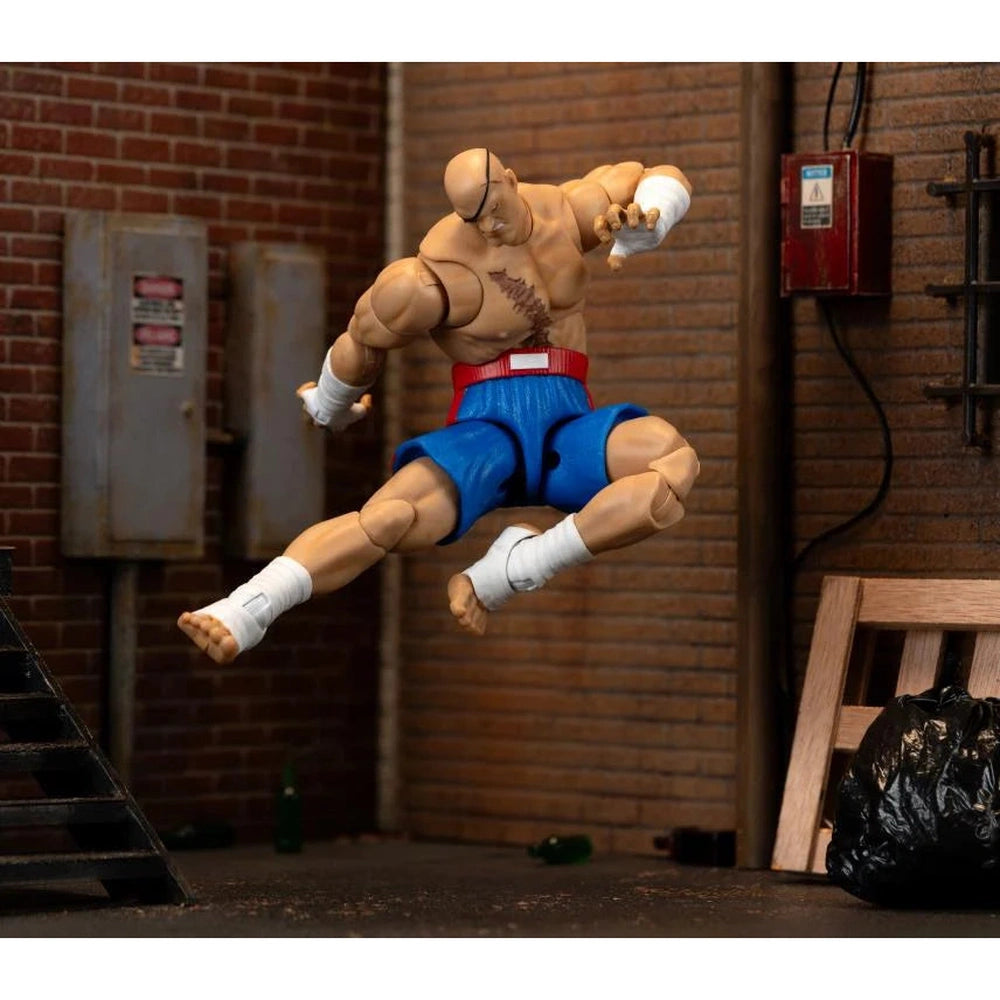 Ultra Street Fighter II: The Final Challengers Sagat 1/12