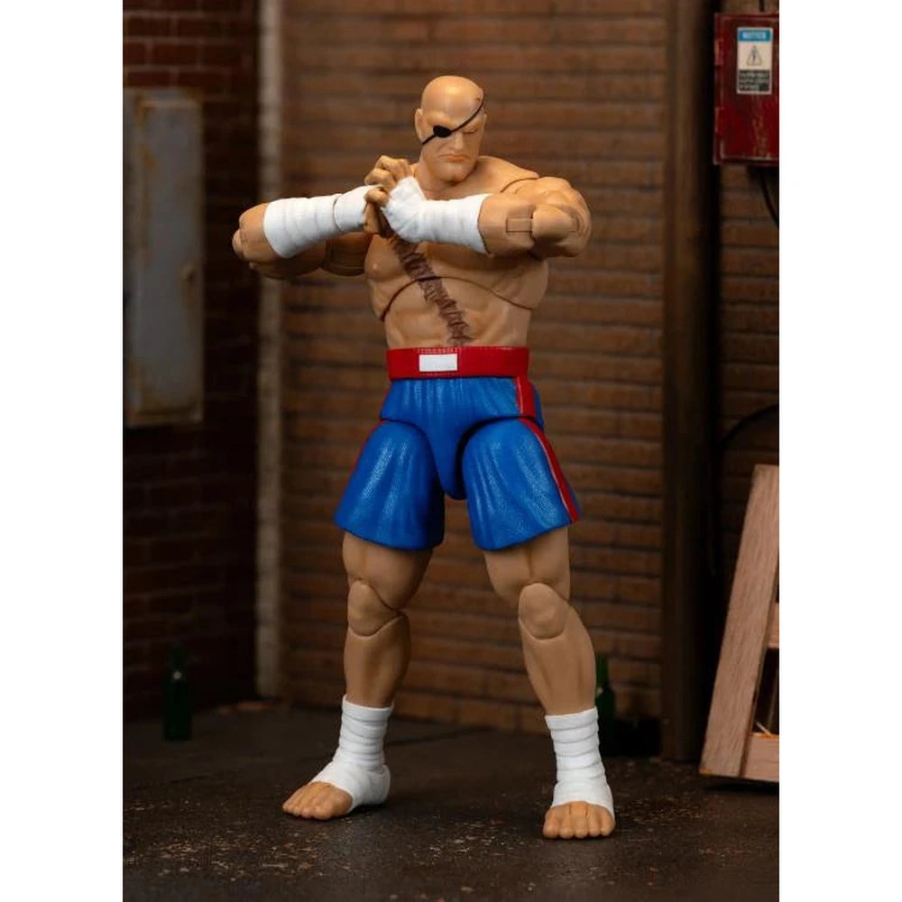 Ultra Street Fighter II: The Final Challengers Sagat 1/12