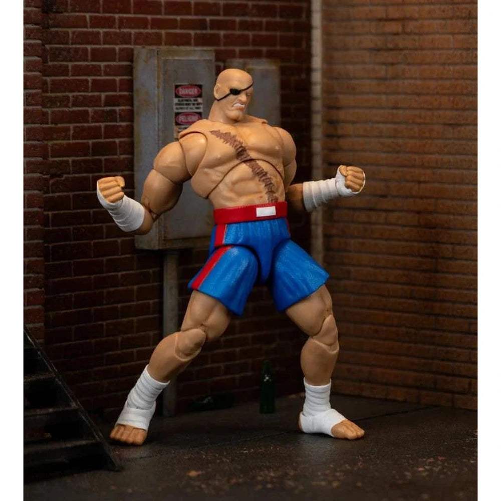 Ultra Street Fighter II: The Final Challengers Sagat 1/12