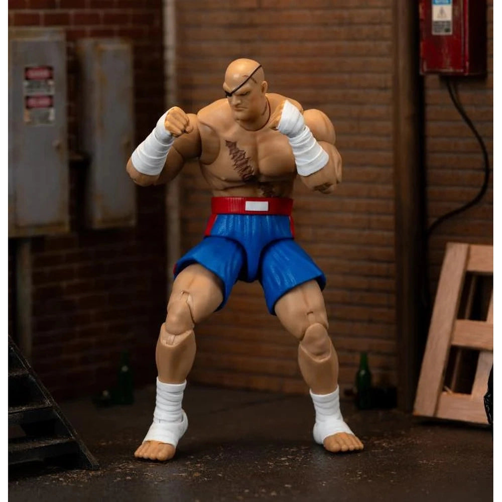Ultra Street Fighter II: The Final Challengers Sagat 1/12