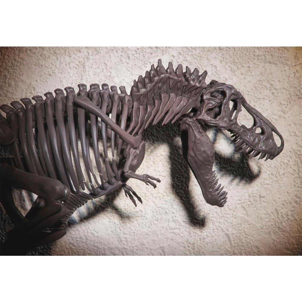 Imaginary Skeleton Tyrannosaurus Model Kit 1/32