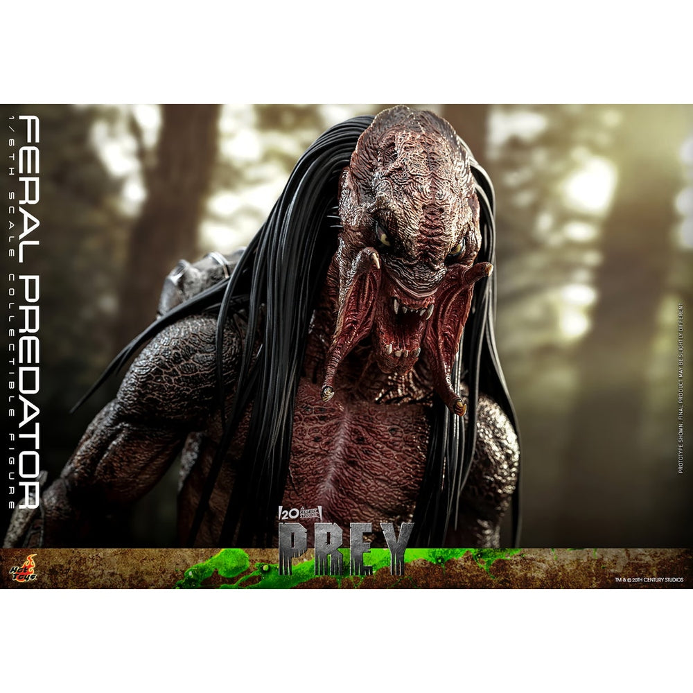 Prey TMS114 Feral Predator 1/6