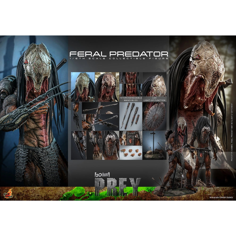 Prey TMS114 Feral Predator 1/6
