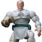 Invincible Conquest 1/12