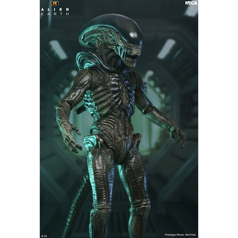 Alien: Earth Ultimate Xenomorph