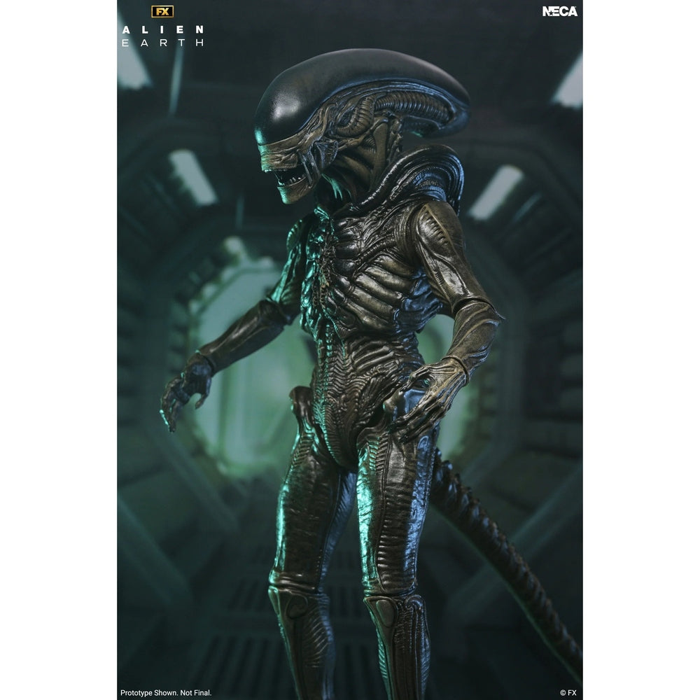 Alien: Earth Ultimate Xenomorph