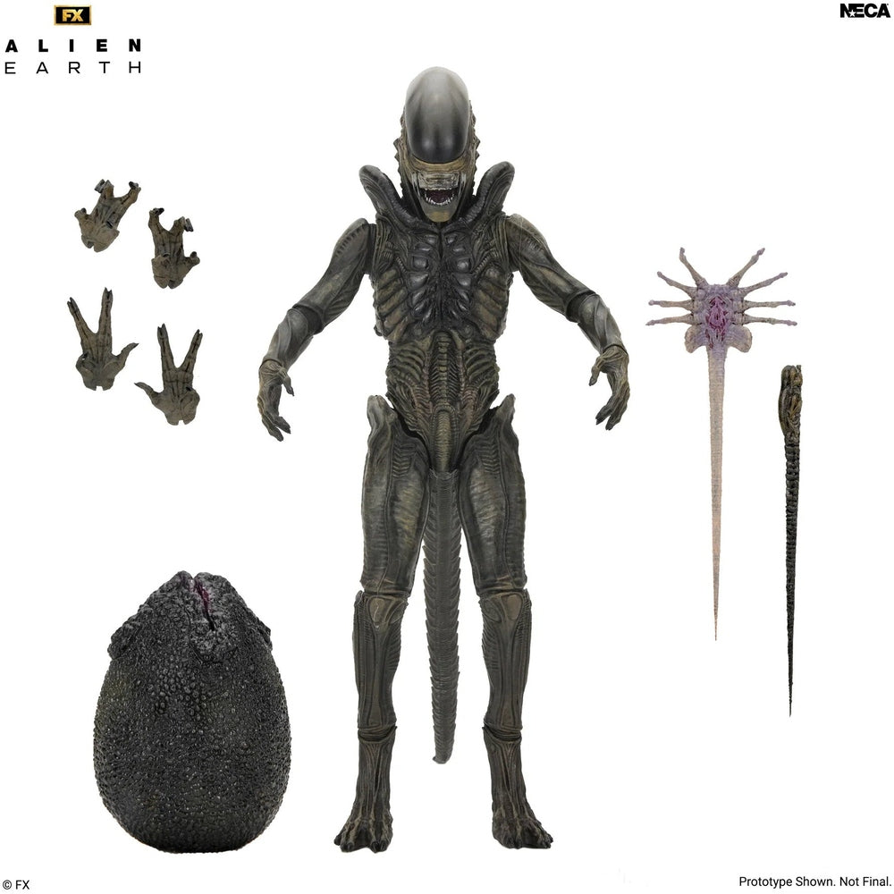 Alien: Earth Ultimate Xenomorph