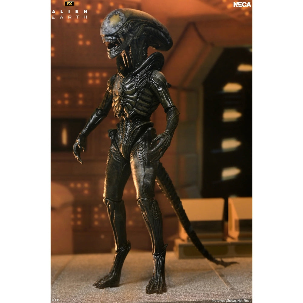 Alien: Earth Ultimate Wendy's Xenomorph