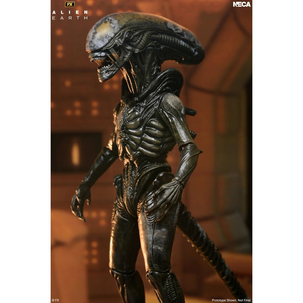 Alien: Earth Ultimate Wendy's Xenomorph