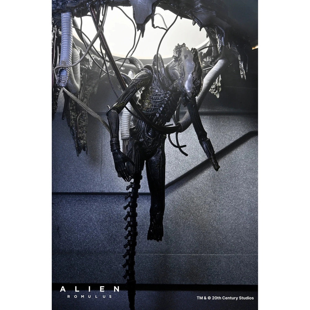Alien: Romulus Suspended Lab Xenomorph XX121 Deluxe