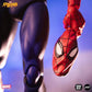 Spider-Man: The Animated Series Spider-Man 1/6