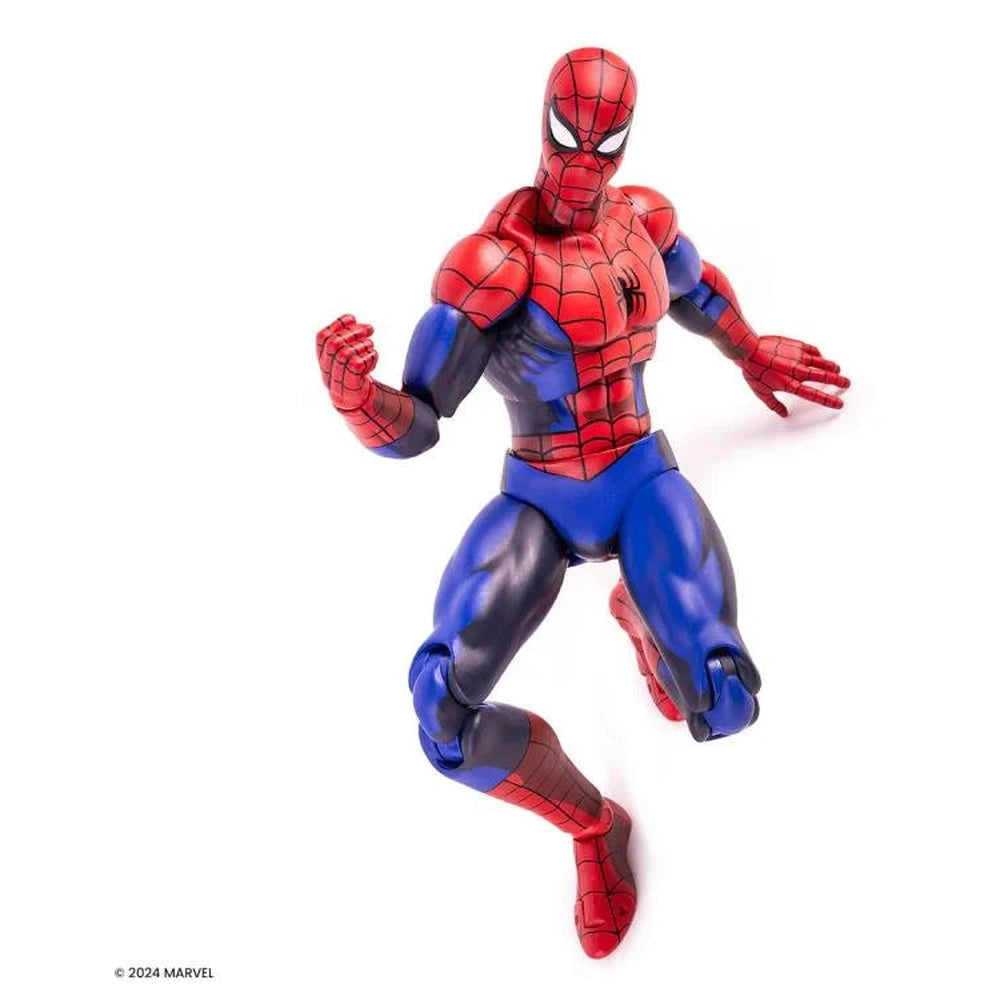 Spider-Man: The Animated Series Spider-Man 1/6