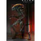 Alien: Romulus Ultimate Scorched Alien Xenomorph