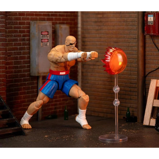 Ultra Street Fighter II: The Final Challengers Sagat 1/12