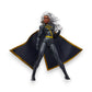 Marvel Legends X-Men Storm Exclusive