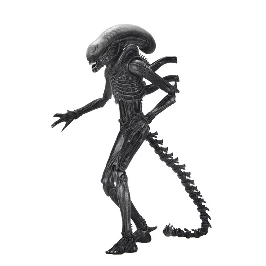 Alien Romulus Ultimate Xenomorph XX121