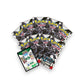 Pokémon TCG Scarlet & Violet - Black Bolt Elite Trainer Box English