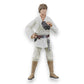 Star Wars The Black Series Luke Skywalker A New Hope