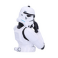 Stormtrooper Busto