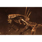 Alien: Resurrection Ultra Deluxe Alien Queen