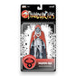 ThunderCats Deluxe Mumm-Ra (Old Man)