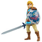 The Legend of Zelda Heroes of Hyrule Tears of the Kingdom Link