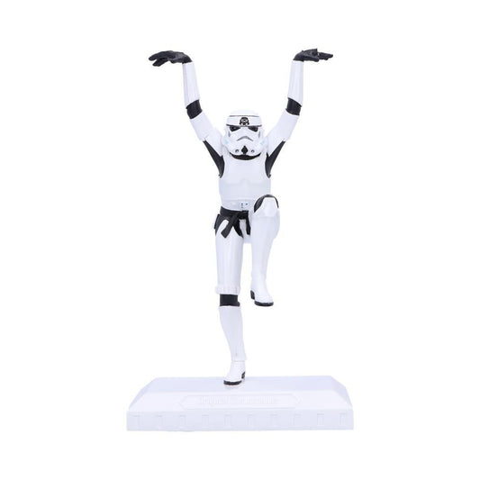 Star Wars Stormtrooper Crane Kick