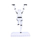 Star Wars Stormtrooper Crane Kick