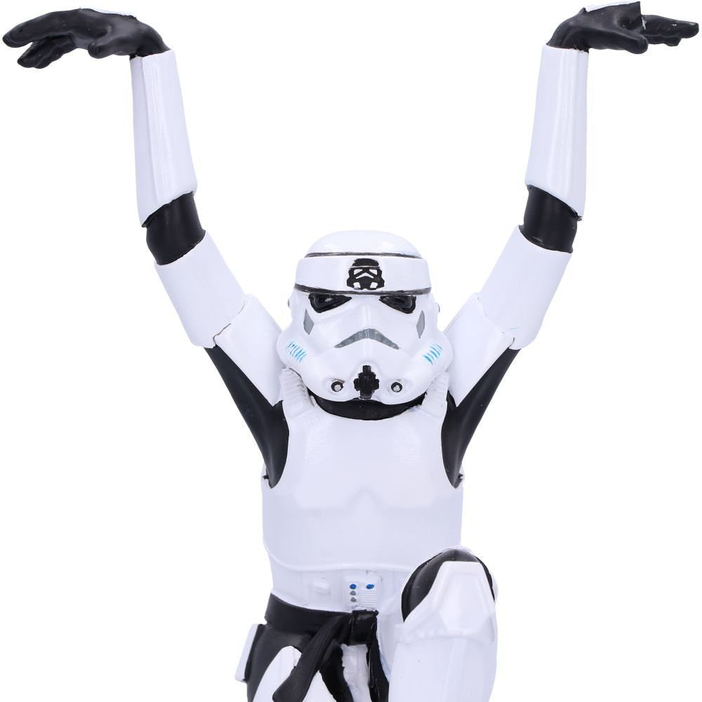 Star Wars Stormtrooper Crane Kick