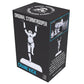 Star Wars Stormtrooper Crane Kick