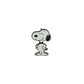 Pin Snoopy & Adventuras