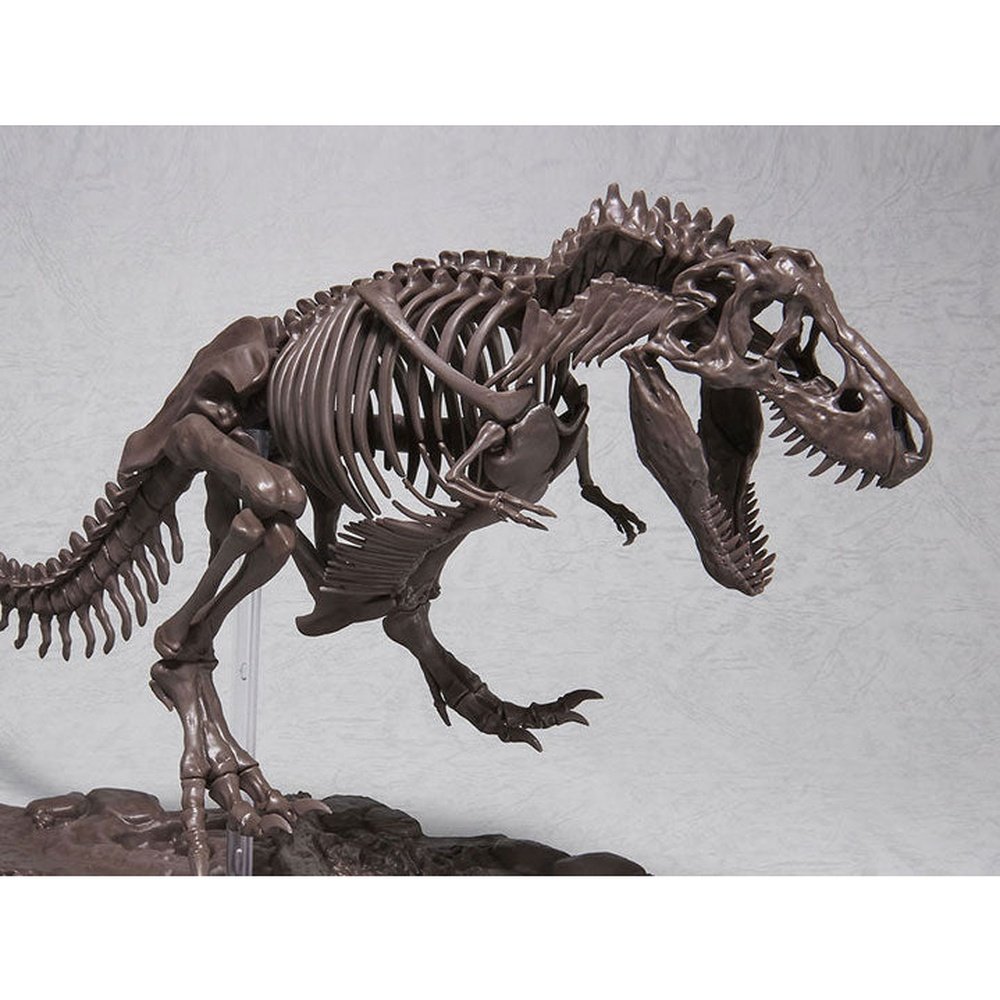 Imaginary Skeleton Tyrannosaurus Model Kit 1/32
