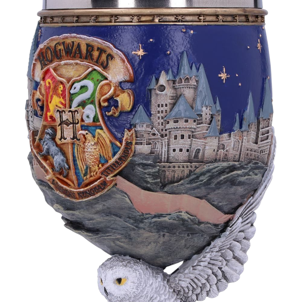 Harry Potter: Hogwarts Copa