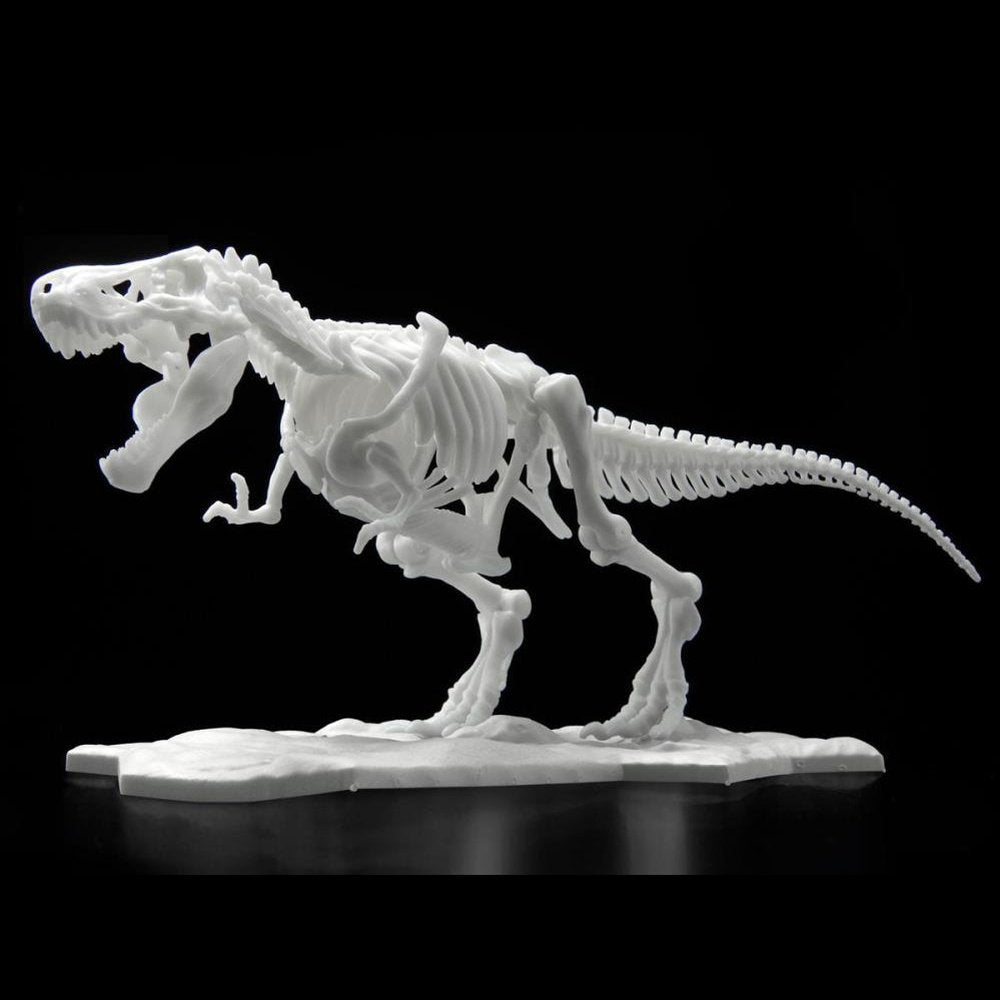 Dinosaur Skeleton Tyrannosaurus Rex Model Kit