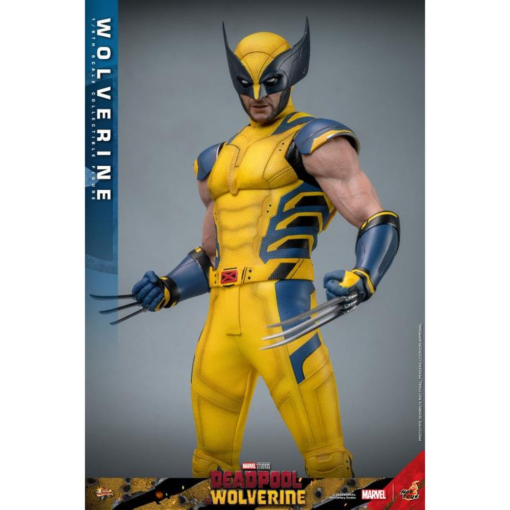 Deadpool & Wolverine MMS753 Wolverine 1/6