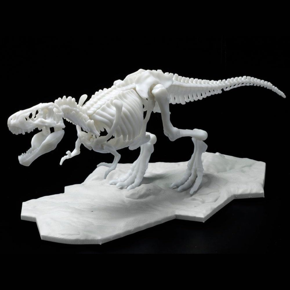 Dinosaur Skeleton Tyrannosaurus Rex Model Kit