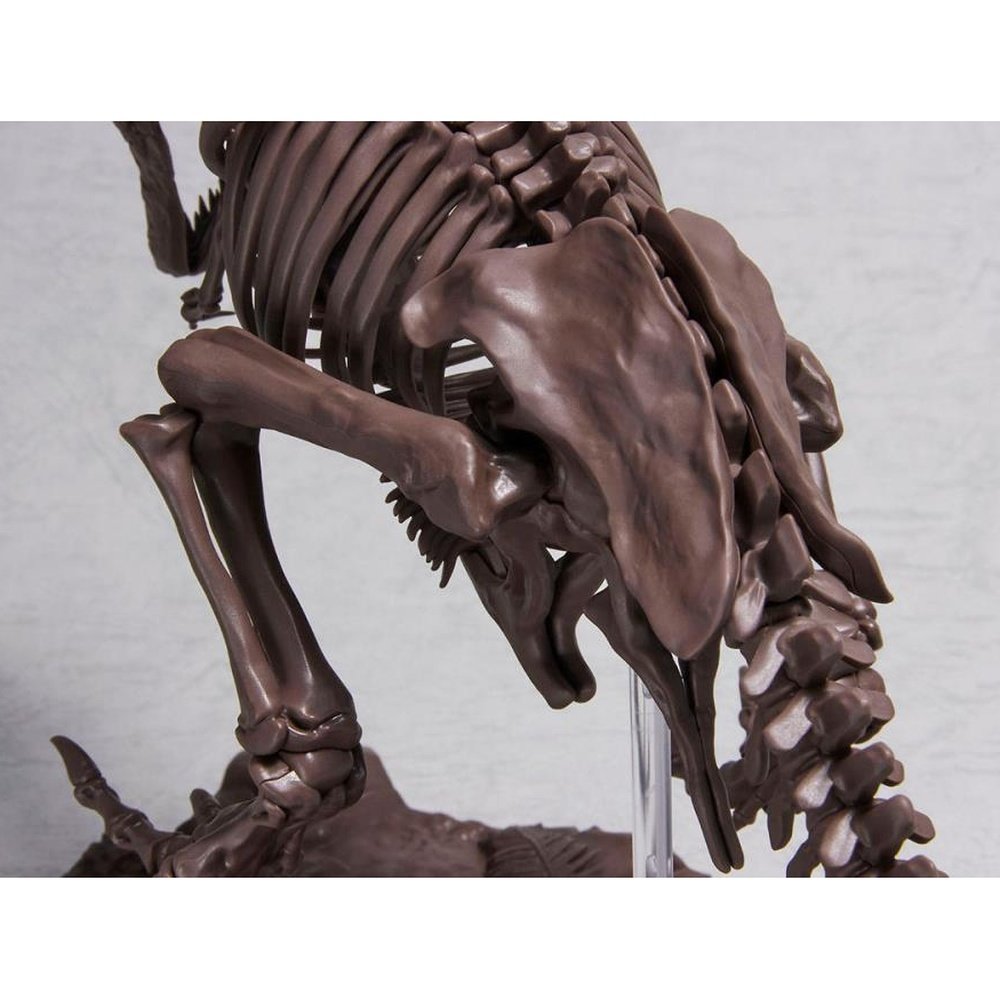 Imaginary Skeleton Tyrannosaurus Model Kit 1/32