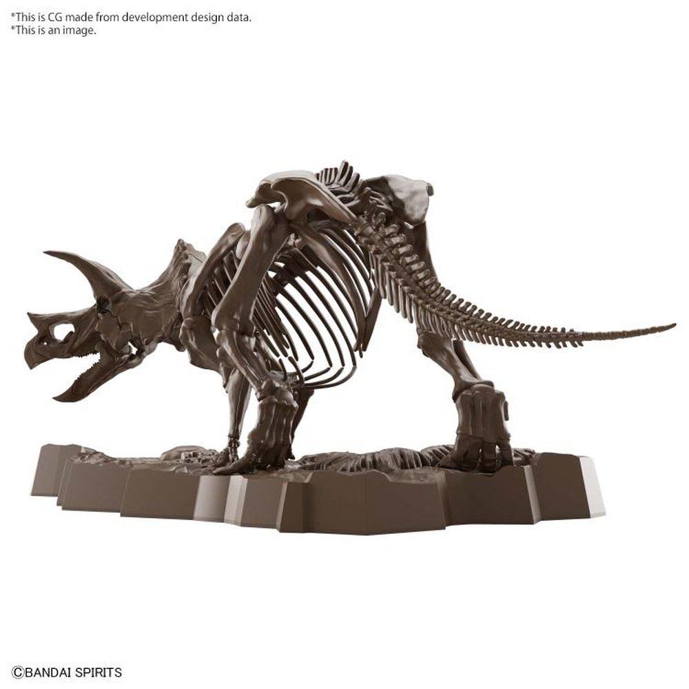Imaginary Skeleton Triceratops Model Kit 1/32