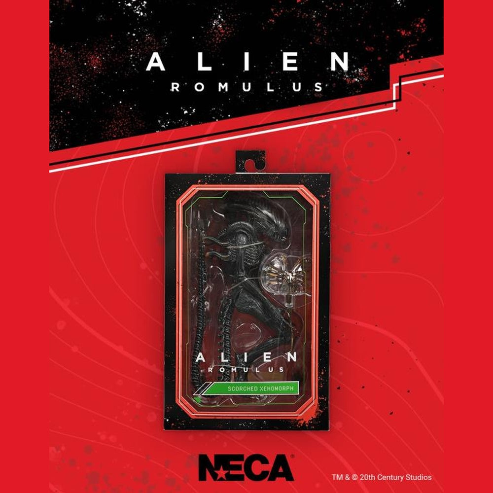 Alien: Romulus Ultimate Scorched Alien Xenomorph