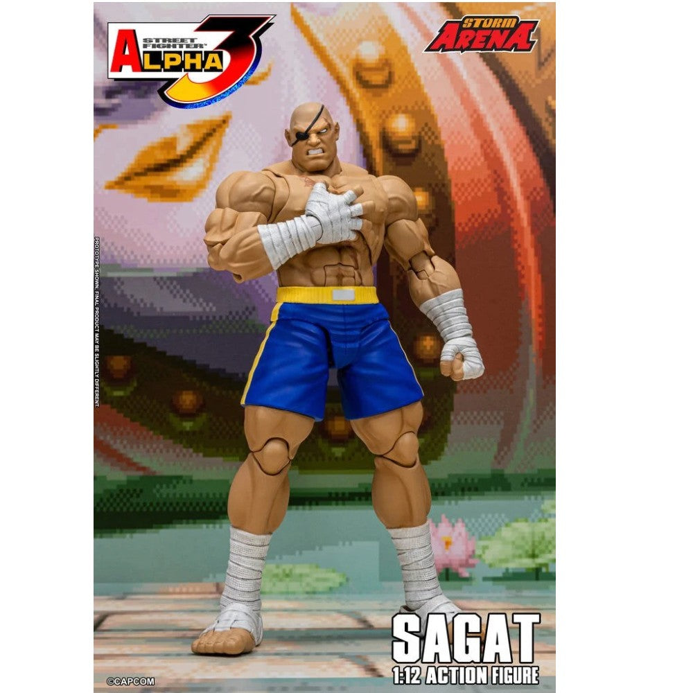 Street Fighter Zero 3 - Sagat Storm Arena 1/12