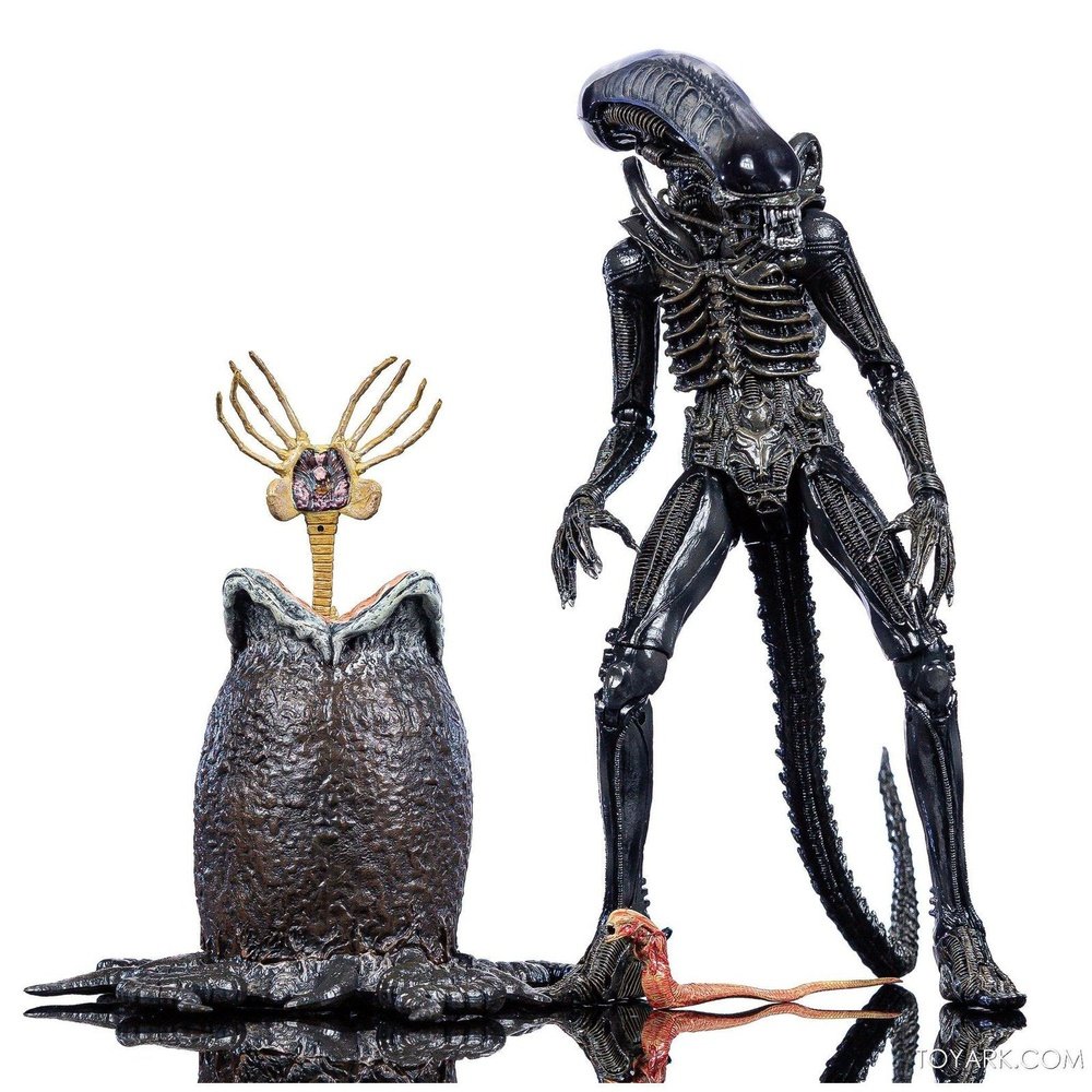 Alien Ultimate 40th Anniversary - Big Chap