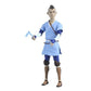 Avatar: The Last Airbender - Sokka